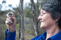 Ecologist Angela Sanders with a Red-tailed Phascogale.