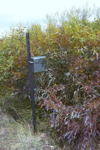 An artificial pygmy possum nest box in a restoration area.