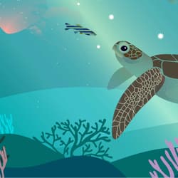 Marine turtle illustration.