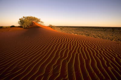 Gay's Dune at Pilungah Reserve.