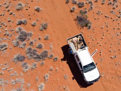 Ute on sandy soils of Bon Bon.