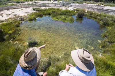 A natural artesian spring produces a pool of clear, shallow water at Edgbaston Reserve.