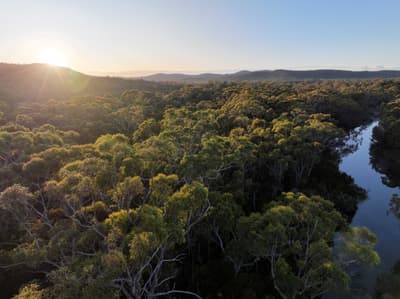 Sunrise over South Esk Pine Reserve.
