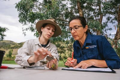 Donna Belder and Brenda Duffy recording results from bird monitoring.
