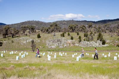Four people in various shades of colourful, outdoorsy clothing walk across an open, grassy plain dotted with tree guards.