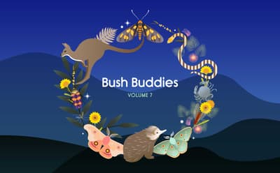 Cover of Bush Buddies Volume 7