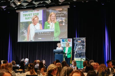 The Celebrating Women in Conservation Breakfast. Photo by Dijana Risteska