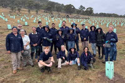 Staff from our corporate partners TBH, planting trees at Scottsdale Reserve in NSW.