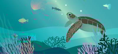 Marine turtle illustration.
