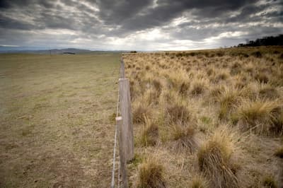 Fence line between Bush Heritage reserve and neighbouring grazing land.