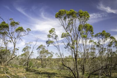 Lawan landscape by Annette Ruzicka