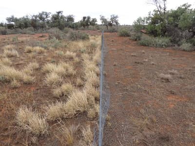 The fence effect is common to exclusion plots observed in this study.