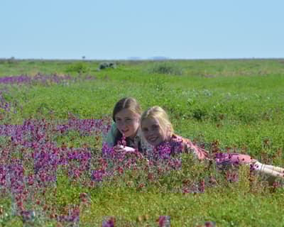 Geri and Maia Tschirner in a field of Swainsona flowers.