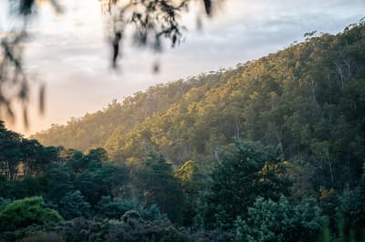 View from Oura Oura Reserve looking towards Glovers Flat.