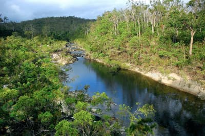 Cameron Creek at Yourka Reserve.