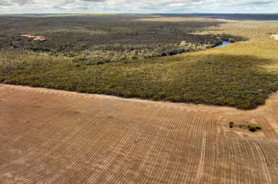 Aerial view of cleared paddocks adjacent to remnant bushland.