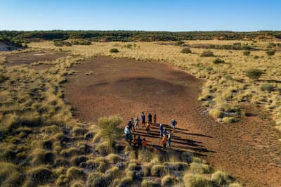 Pullen Pullen Night Parrot workshop.
