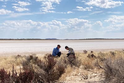 Ecologist Matt Appleby consulting at Napperby Station.