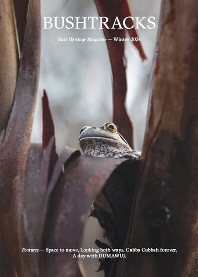 Bushtracks Winter 2024 cover2