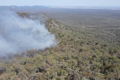 A bushfire progressing through bushland on Carnarvon Station Reserve, Bidjara Country, Queensland.