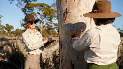 Shelley Foster and Fiamma Riviera measuring an old eucalypt at Wanarra. Photo Andy McGregor.