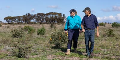 Heather Barnes and Greening Australia’s Barry Heydenrych assess a revegetation site at Ediegarrup Reserve.