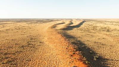 Sand dunes at Pilungah Reserve, snaking out into the distance.