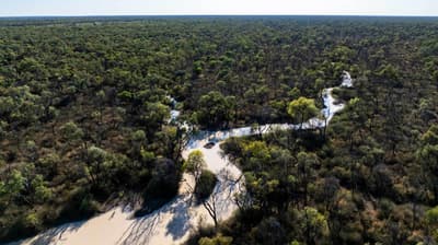 Cuttaburra Creek, Nil Desperandum Reserve.