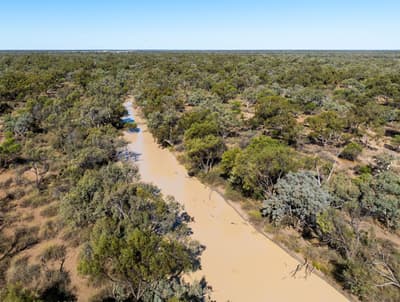 The Cuttaburra Creek runs between Naree and Nil Desperandum.