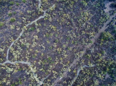 Drone footage of a fork in a creek at Naree Reserve, NSW.