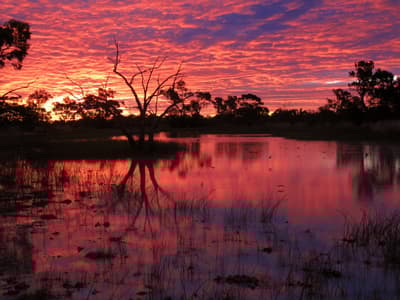 A spectacular sunset over a vast wetland, both sky and water painted in orange, purple and gold, at Naree Station Reserve.