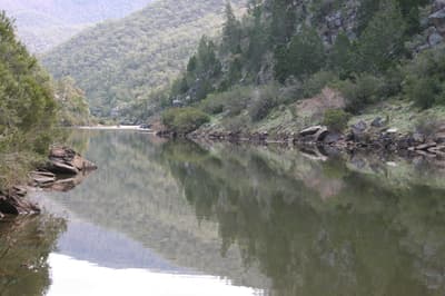 The Murrumbidgee, a wide river, runs through forested hills at Scottsdale Reserve.