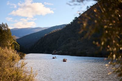 Volunteers kayaking on the Murrumbidgee River.