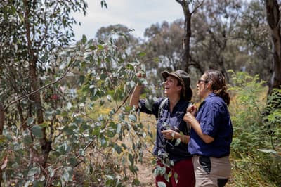 Kelly Price and Vikki Parsley assessing a cultural burn at Tarcutta Hills Reserve.
