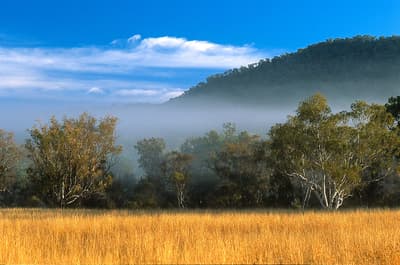 Bluegrass grassland on the Channin Creek floodplain.