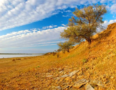 Red gypsum cliff at Ethabuka Reserve.