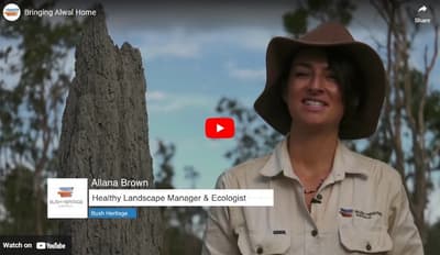 Bringing Awal home video