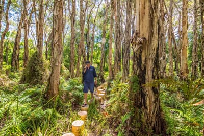Reserve Manager, Matt McLean on the Paperbark Forest walk at Reedy Creek.