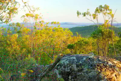 Morning vista at Yourka Reserve.