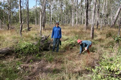 Volunteers Wayne Lewis and Kim Ely weeding at Yourka Reserve.