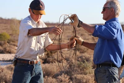 Kurt Tschirner and Tony Geyer removing wire fencing.