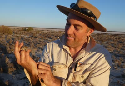 Ecologist Graeme Finlayson with a Dunnart.