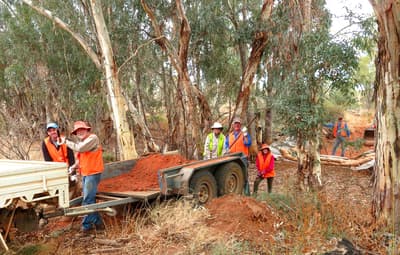 A volunteer working bee at Boolcoomatta Reserve.