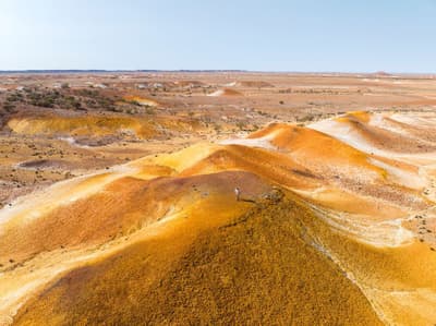 Evelyn Downs landscape.