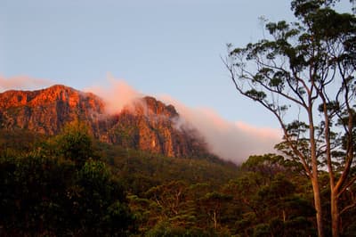 Clouds surround peaks of Drys Bluff, Liffey Valley, Tasmania.