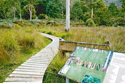 Interpretive sign on walking track through the Liffey River Reserve.