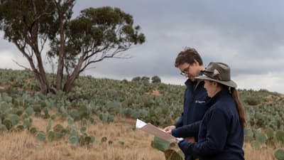 Dan Nugent (Reserve Manager) and Shana Nerenberg (DJANDAK Biodiversity Lead) inspect map of Wheel Cactus.