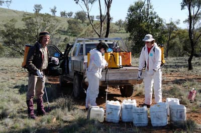 Weed spraying volunteers.