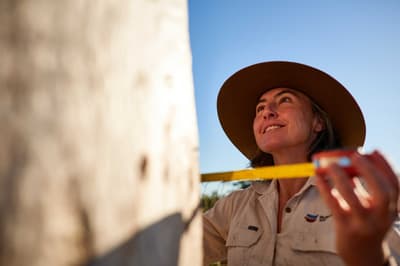 Ecologist Fiamma Riviera with tape measure, approaches a large tree.