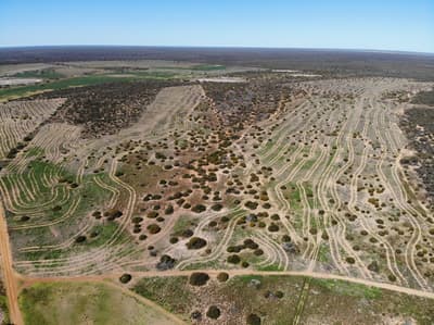 Aerial photo of paddock recently planted for revegetation at Eurardy Reserve.